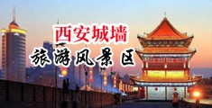 大屌草视频中国陕西-西安城墙旅游风景区