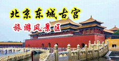 操粉逼导航中国北京-东城古宫旅游风景区